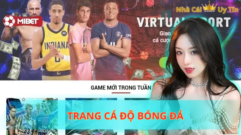 Trang cá độ bóng đá