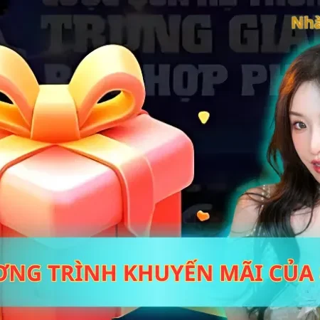 Điểm Danh Các Chương Trình Khuyến Mãi Của 8Live Ưu Đãi Khủng